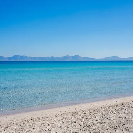 Daire Ground-floor With Terrace Alcudia (Mallorca)